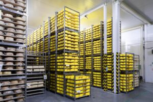 Cold Storage and Transportation Integration: Enhancing Cold Chain Logistics